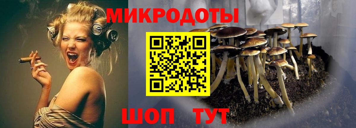 Сертолово  Псилоцибиновые грибы Magic Shrooms  Вход с VPN  Псилоцибиновые грибы Magic Shrooms 
